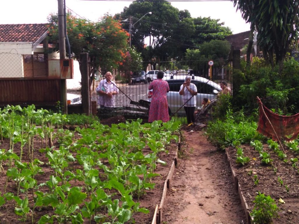 horta comunitária