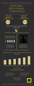 infográfico sobre a situação prisional para as mulheres no Brasil 