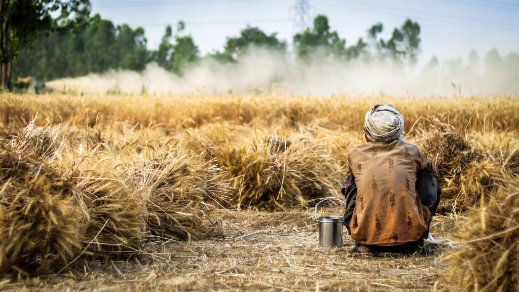 trabalhador rural em plantação